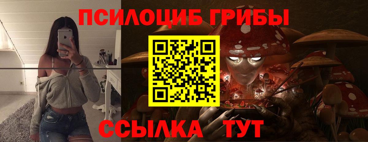Псилоцибиновые грибы ЛСД Ачинск